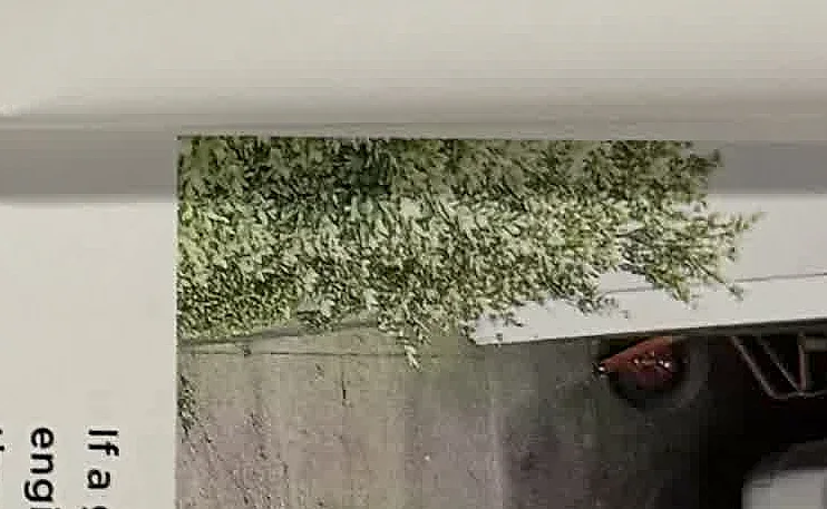 A cropped textbook photo showing vegetation close to a building exterior.