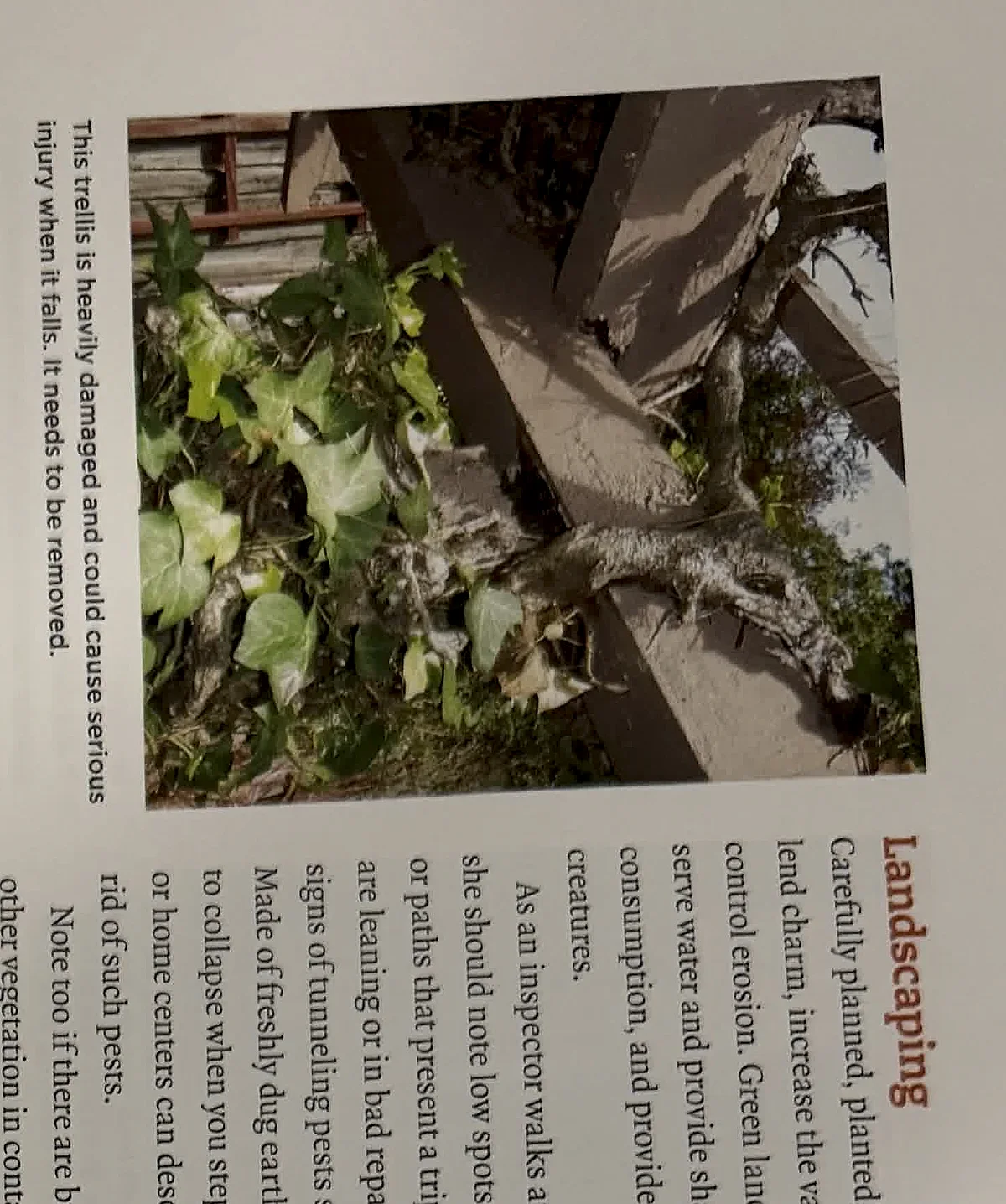 A cropped textbook photo showing vines or vegetation contacting an exterior surface.